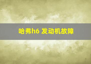 哈弗h6 发动机故障